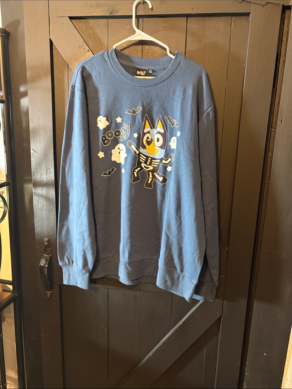 Bluey Boys Halloween Graphic Sweatshirt - Blue